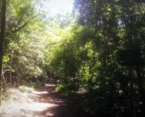 Zondagmiddag wandeling