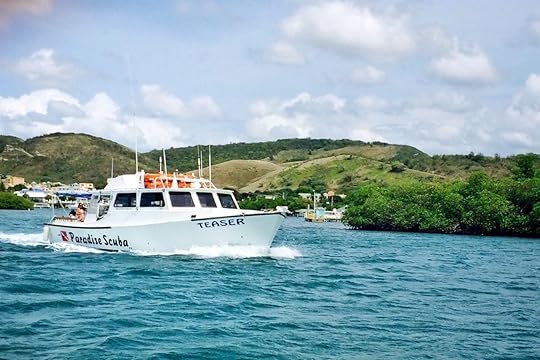 paradise-scuba-snorkel-puerto-rico-facebook,Puerto Rico by van