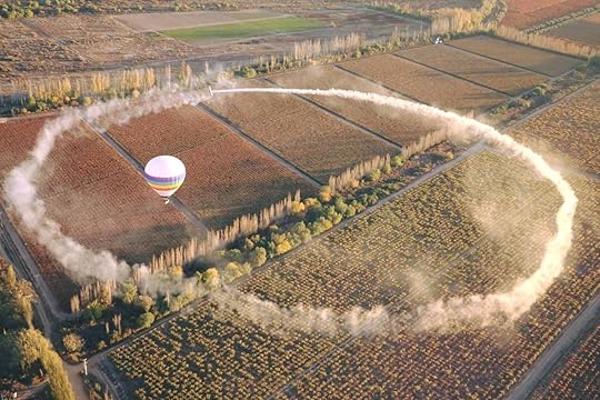 Mendoza Balloon, Argentina's wine country