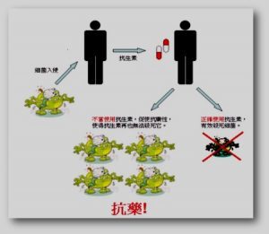 博猫娱乐官网