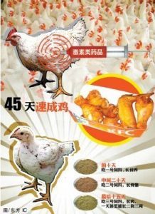 博猫娱乐官网