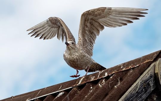 Boogie Beach by Winnie Winkle launches June 21, 2021