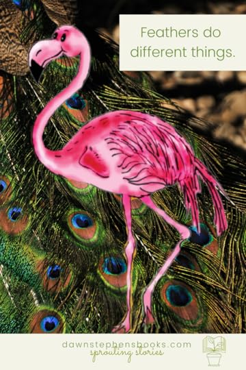 body-coverings-of-animals-feathers