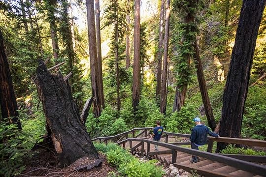 Pfeiffer-Falls-Trail-reopening-Big-Sur-California, Pfeiffer Falls Trail