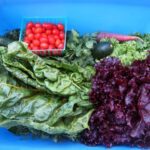 blue csa box filled with tomatoes, chard, lettuce, carrots, and more.