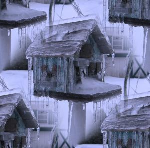 Winter's Icy Grip