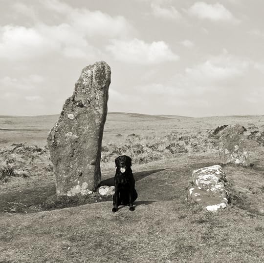Tilly at Scorhill stone circle