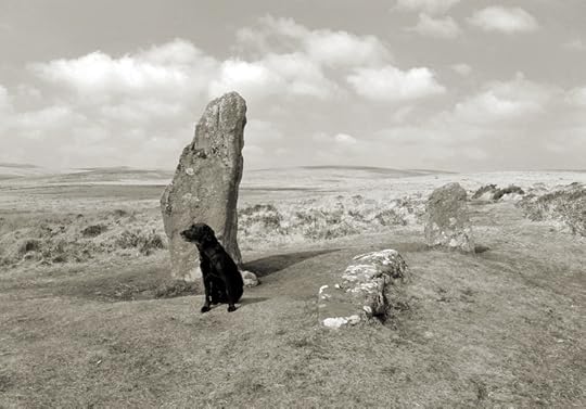 Hound and Stone