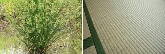 igusha tatami