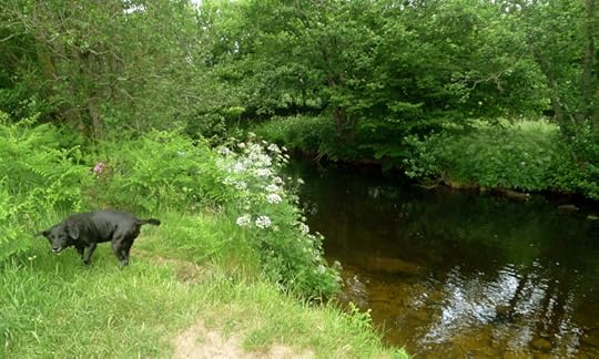 River 6