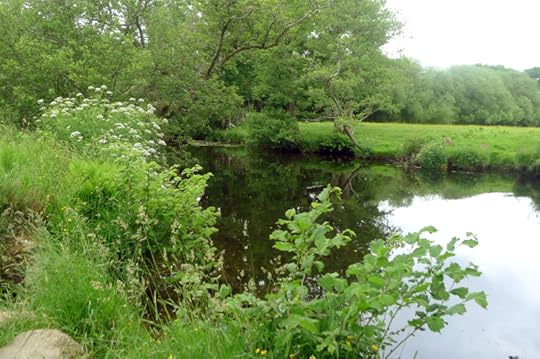 River 7