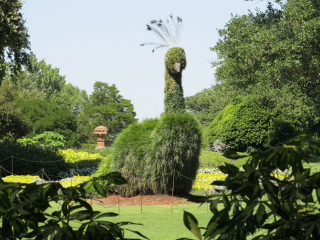 Topiary-417271_1920