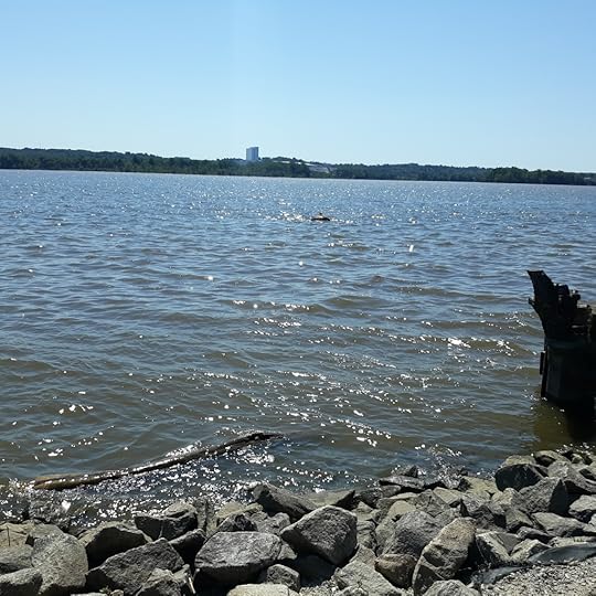 View of the Potomac River's choppy waters from the Alexandria shore. Maryland is across the river.