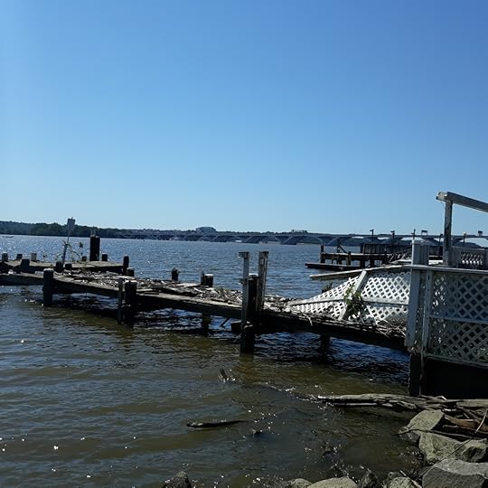 A private dock, partially broken up by storms and covered with debris.