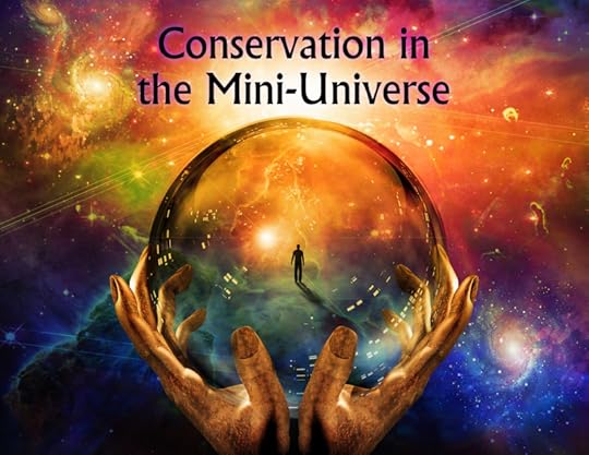 Mini Universe Conservation