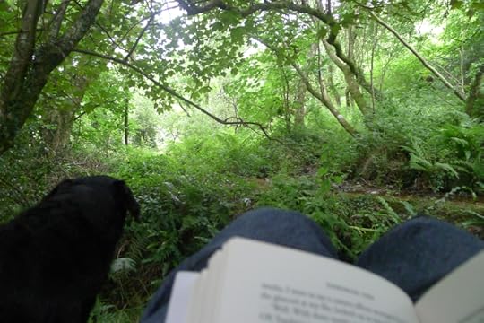 By the leat 4