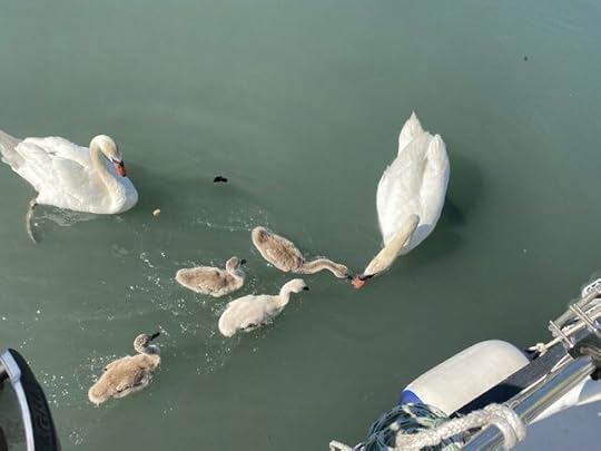 Mom, Dad, and the little ones paid Kawabunga a visit while in the marina in Valence
