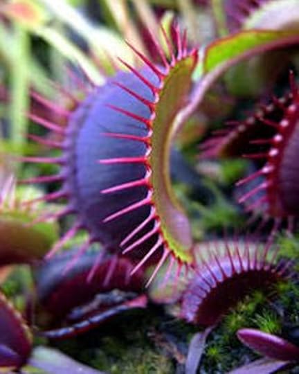 Screenshot-2021-06-25-06-52-49-56