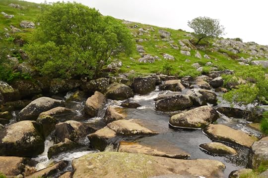 Dartmoor 5