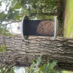 Metal Bird Feeder - Adventure Stories
