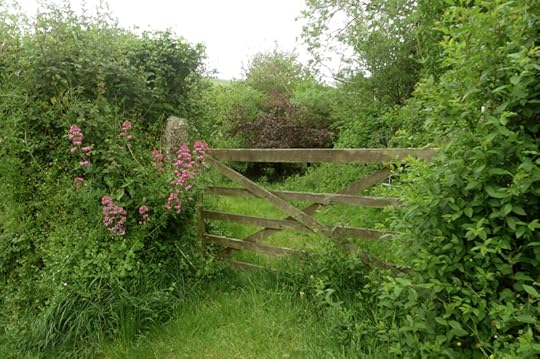 Hedge gate with valerian