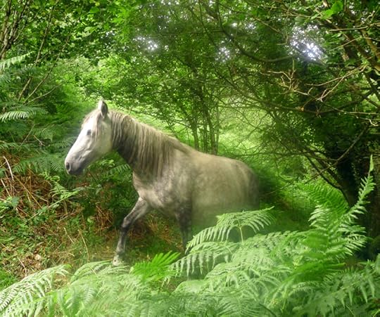 Dream horse going