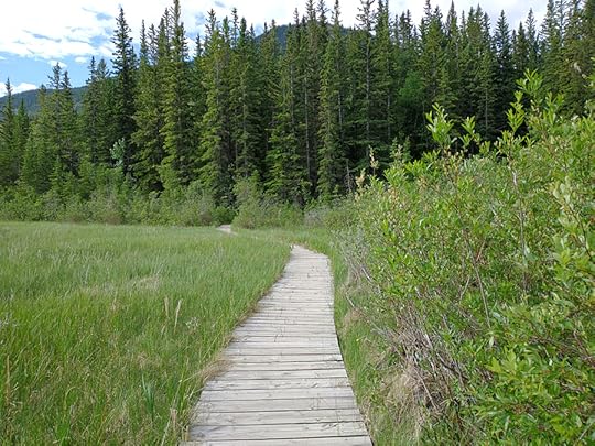 boardwalk at the Many Springs Trail