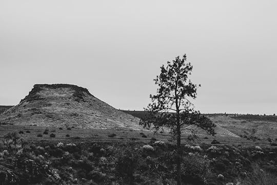White Falls-Maupin -- Oct. 20, 2019 (79 of 125).jpg