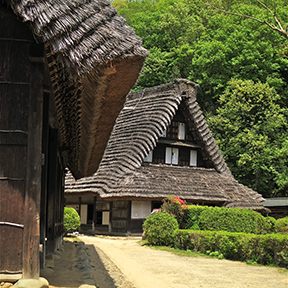 Nihon Minka-en thatch-roofed farmhouses