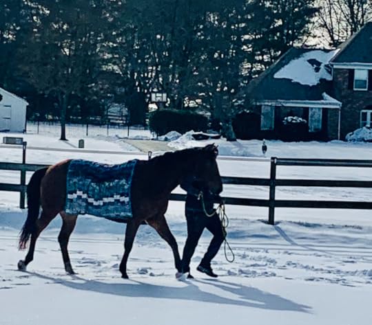 Screen Shot 2021-06-28 at 9.42.19 PM.png