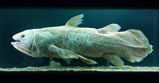 Top 7 Science Stories - coelacanth