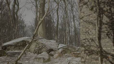 A brick wall and trees, from the "Abandoned" trailer