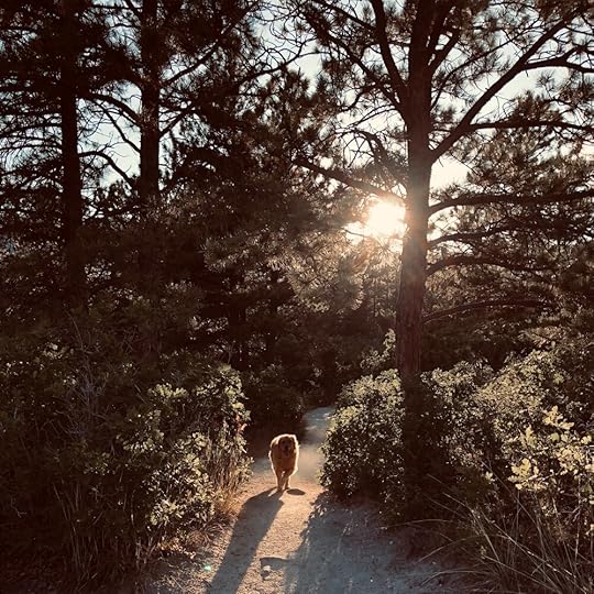 darcy path.JPG