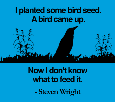 birdseed