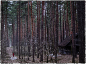 Little-red-riding-hoodbyJasonNathaniel