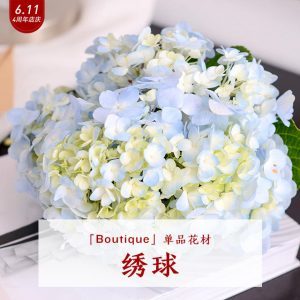 博猫娱乐官网