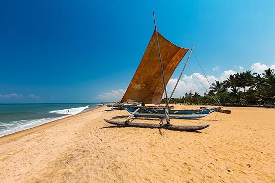 negombo-sri-lanka-beach-town-136853597, Beaches in Sri Lanka