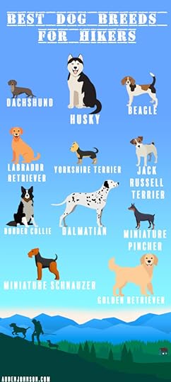 Best Dog Breeds for Hikers