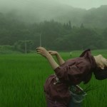 little forest rice field