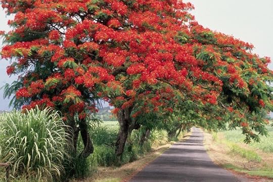 French Antilles - Guadeloupe