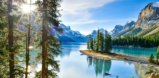 Futurist Speaker Thomas Frey Blog: Should We Move Towards Rewilding Our Cities?