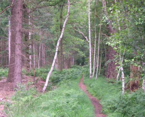 Wandelroute: Adellijke Kleurenpracht