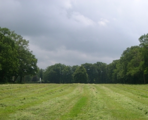 Wandelroute: Adellijke Kleurenpracht