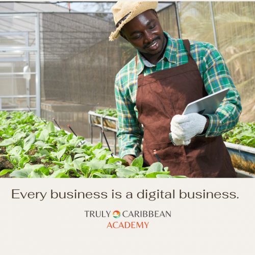 Every business is a digital business - Truly Caribbean Academy