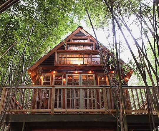 alpaca-treehouse-worlds-most-amazing-vacation-rentals, World’s Most Amazing Vacation Rentals