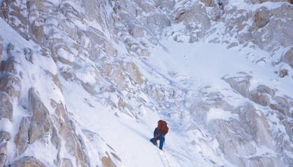 Structured Chaos by Victor Saunders