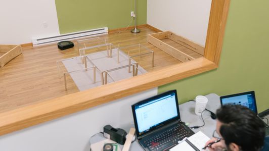 robot-vac-lab-pics-9