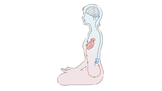 The Water Up, Fire Down Energy Cycle