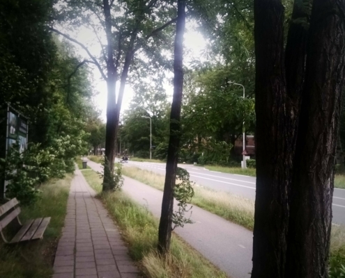 De Natte Wegwaai Wandeling
