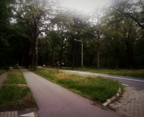 De Natte Wegwaai Wandeling